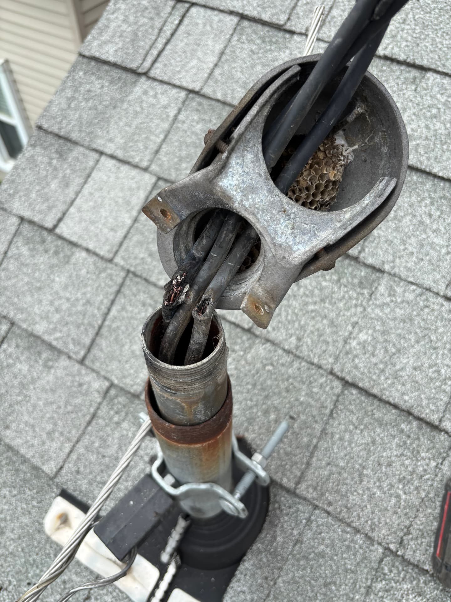Damaged rooftop weatherhead and service entrance conductors before repair